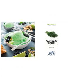 Wildfenchel Sorbet 1,55Kg  A.G. Matteo