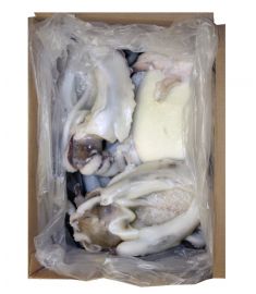 Tintenfisch 1000/2000g 8Kg Geputzt  IQF