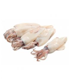 Calamari 6Kg Ganz Geputzt Patagonien IQF