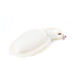 Tintenfisch geschnitten 2000g+ 10,8Kg IQF Marokko 