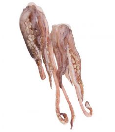 Calamari Arme 20/40Stk 4Kg Blanchiert 