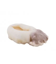 Tintenfisch 500/1000g 5Kg Geputzt IQF Italien