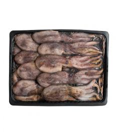 Moschuskrake Schwarz 120/200g 12Kg FAO37 