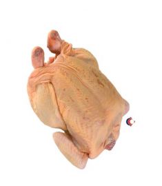 Huhn Oberkörper 10x1,2Kg