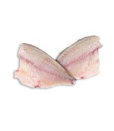 Orata - Goldbrasse Filets 120/160g 4Kg m|Haut