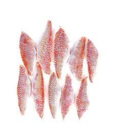 Meerbarbe Filets 20/40g 6Kg  m|Haut