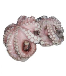 Krake N°2 1-2Kg Marokko Schale WG MOYSEAFOOD