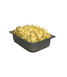 Vanille Eis 4,9Kg GELATI