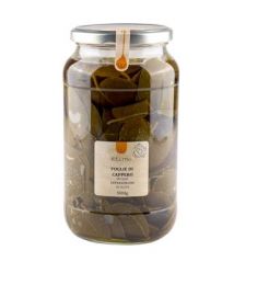Pantelleria Kapernblätter 900g in Nativem Olivenöl Extra ELIMO