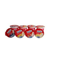 Fruchtjoghurt 4 Sorten 20x125g BONTA VIVA