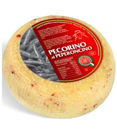 Mini Pecorino al Peperoncino  (30/60 Tage)  1,2Kg CASEIFICIO MAREMMA