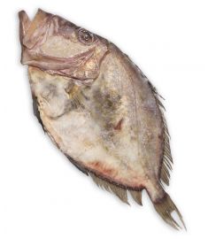 Pertersfisch Mittelmeer 1Kg 