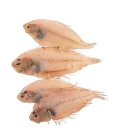 Flunder 1Kg