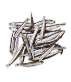 Sardelle Lampara  1Kg