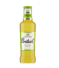 Ginger Ale 24x200ml MOLINARI