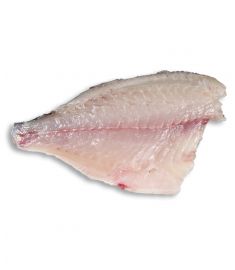 Orata - Goldbrasse Filet 160/200g 4Kg  FAO37 IQF  JESOLPESCA