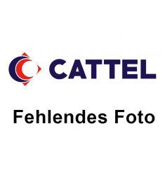 Krake 1000/2000g Spanien