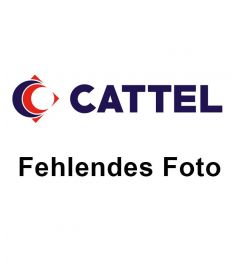 Mehl Typ 0 5Kg SELEZIONE CASILLO