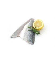 Branzino - Wolfsbarschfilet m/Haut 160/200g 4Kg FAO 37