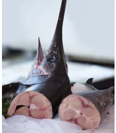 Schwertfisch Filet 2000/4000g aufgetaut