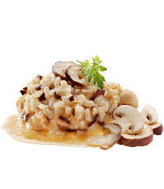 Steinpilz-Risotto 300g FIORDIPRIMI